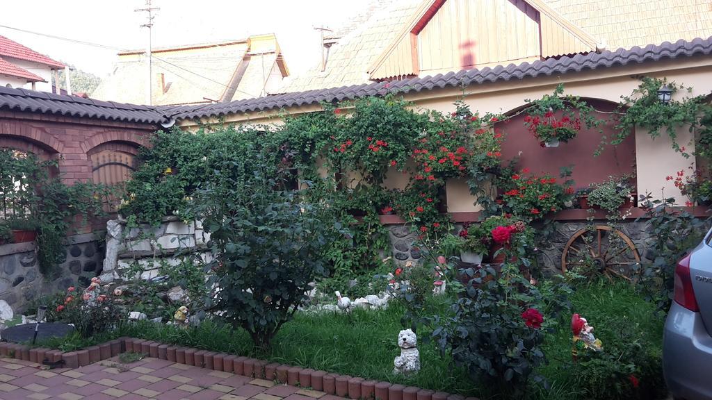 Pensiunea Beltina Răşinari Exterior foto