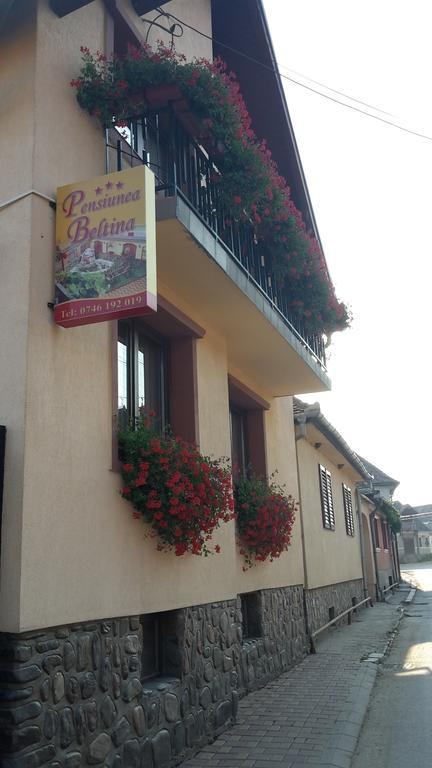 Pensiunea Beltina Răşinari Exterior foto