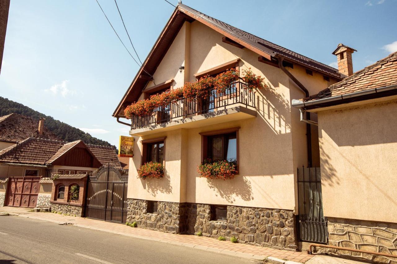 Pensiunea Beltina Răşinari Exterior foto